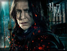 Harry Potter & the Deathly Hallows, Severus Snape