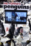 Mr. Popper's Penguins