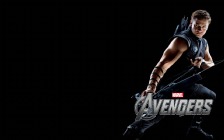 The Avengers: Jeremy Renner as Hawkeye