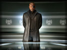 The Avengers: Samuel L. Jackson as Nick Fury