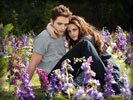 Twilight Saga: Breaking Dawn: Part 2, Edward and Bella