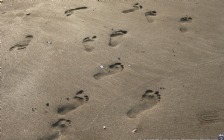 Footprints On The Beach