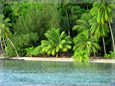 Beach and Sea