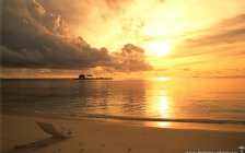 Beach and Sea