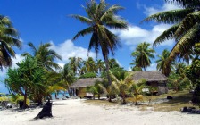 Beach And Sea