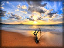 Beach And Sea, Sunset