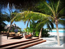 Beach and Sea, Palm Trees, Maldives