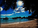 Beach and Sea, Mauritius