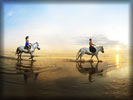 Beach and Sea, Horses, Couple