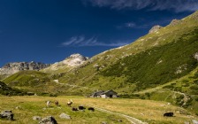 Mountains, Alps