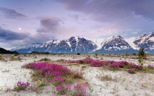 Saint Elias Mountains, Alaska, USA