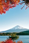 Mount Fuji, Autumn, Japan