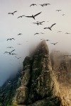 Boreray Island, Scotland