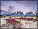 Saint Elias Mountains, Alaska, USA