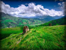 Targim, Mountains, Green Field, Ingushetia, North Caucasus, Russia