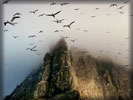 Boreray Island, Scotland