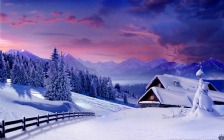 Winter House