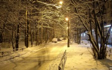 Winter Night