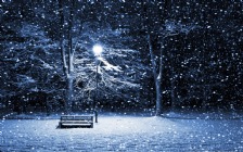 Snowy Winter Night