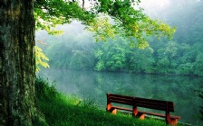 Lake, Bench