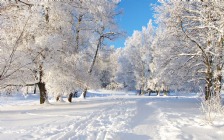 Winter, Snow