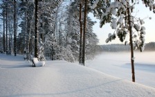 Winter, Snow, Bench