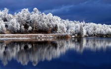 Winter Lake