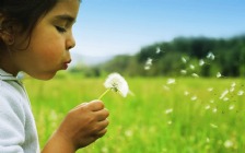 Spring, Kid Blowing a Dandelion