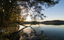 Lake, Autumn