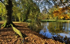 Lake, Autumn, Bench, Park