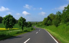 Road, Trees