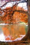 Autumn Lake