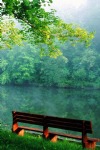 Lake, Bench