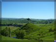 One Little Tree Hill, New Zealand