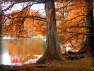 Autumn Lake