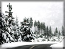 Winter Road