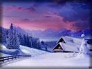 Winter House