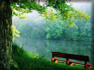 Lake, Bench