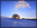 Winter, Snow, Hill