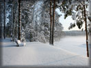 Winter, Snow, Bench