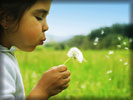 Spring, Kid Blowing a Dandelion