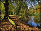 Lake, Autumn, Bench, Park