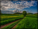 Green Field, HDR