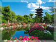 Temple Japan