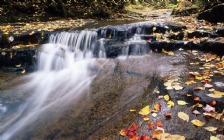 Waterfalls