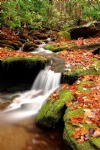 Waterfalls, Autumn Leaves