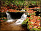 Waterfalls, Autumn Leaves