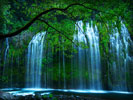 Mossbrae Waterfalls, Sacramento River, Dunsmuir, California, United States