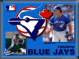 Toronto Blue Jays