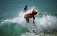 Windsurfing, Waves, Guy